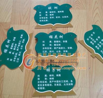 校園卡通樹(shù)木掛牌 趣味科普新選擇